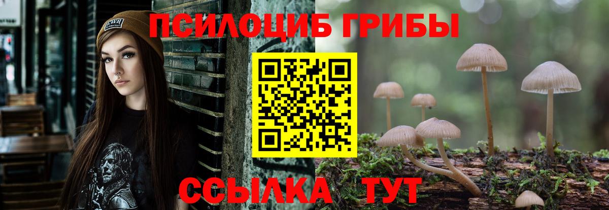 Псилоцибиновые грибы Psilocybe  Вход с VPN  Усть-Лабинск 